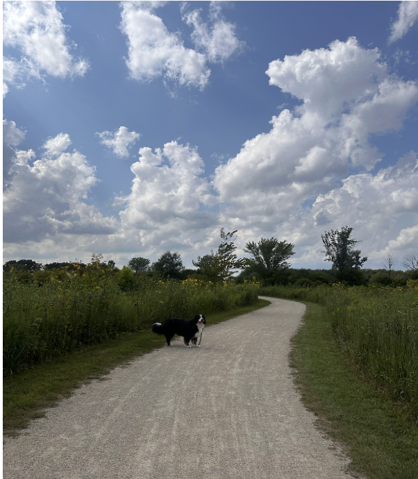 Walking path at Elawa Farms. Courtesy of Evelyn Marshall. 